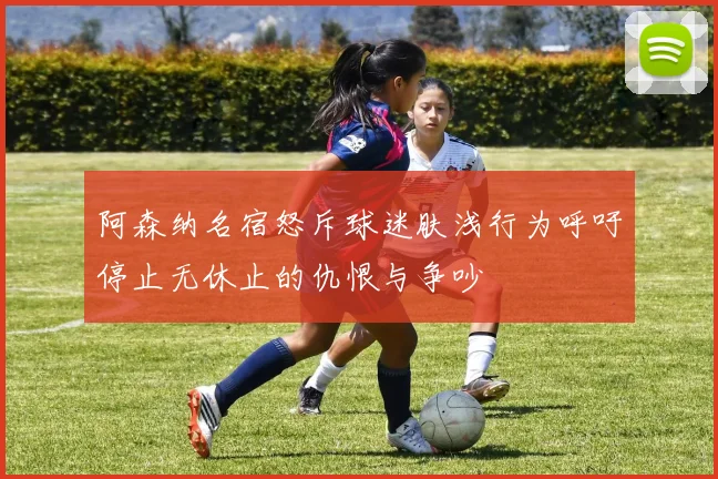 阿森纳名宿怒斥球迷肤浅行为呼吁停止无休止的仇恨与争吵