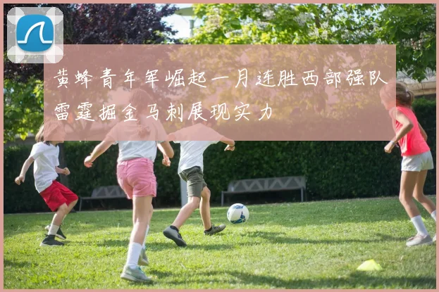 黄蜂青年军崛起一月连胜西部强队雷霆掘金马刺展现实力